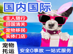 兴东航空物流国际宠物托运 【国
